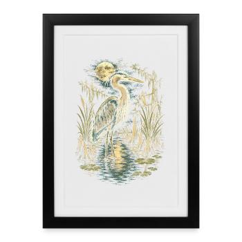 Héron des marais - Affiche encadrée (27 × 37 cm) - noir - Devant