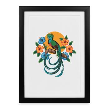 Quetzal bird with long tail feathers in front - Framed poster (27 × 37 cm) - black - Front