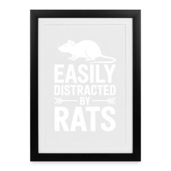 Dictons de rats Cadeau drôle de rat - Affiche encadrée (27 × 37 cm) - noir - Devant