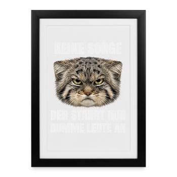 Pallas Katze Manul Cat Sarkasmus Katzen Meme Motiv - Gerahmtes Poster (27 × 37 cm) - Schwarz - Vorne