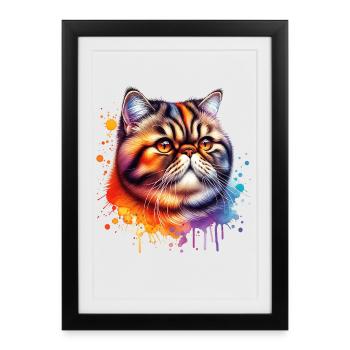 Motif exotique du chat à poil court - Affiche encadrée (27 × 37 cm) - noir - Devant