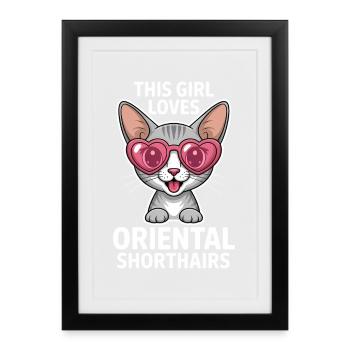 Oriental Shorthair Sayings Joke Cat Gift - Framed poster (27 × 37 cm) - black - Front