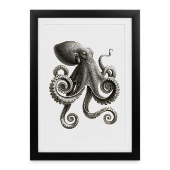 Octopus Octopus Octopus Sea Octopus - Framed poster (27 × 37 cm) - black - Front