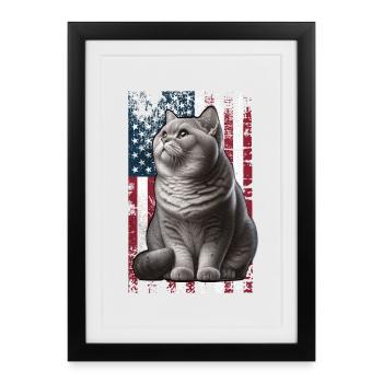 Chat britannique à poil court britannique américain - Affiche encadrée (27 × 37 cm) - noir - Devant