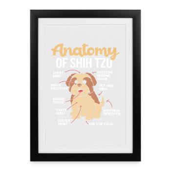 shih tzu - Framed poster (27 × 37 cm) - black - Front