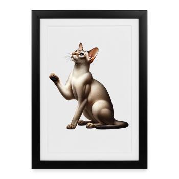 Orientalisch Kurzhaar Oriental Shorthair - Framed poster (27 × 37 cm) - black - Front