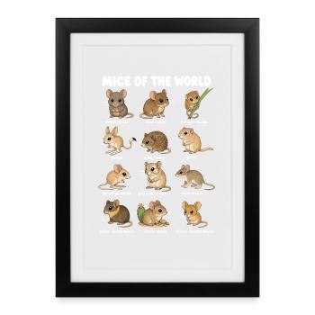 Mice of the World Cute Mouse - Framed poster (27 × 37 cm) - black - Front