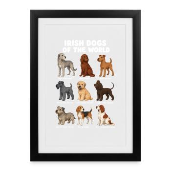 Diagramme de dessin animé mignon des races de chiens irlandais - Affiche encadrée (27 × 37 cm) - noir - Devant
