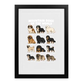 Mountain Dog Breeds Cute Puppy Dogs - Framed poster (27 × 37 cm) - black - Front