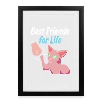 Chats Sphynx - Affiche encadrée (27 × 37 cm) - noir - Devant