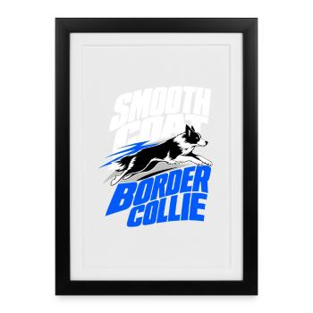 Border Collie, Border Collie à poil lisse - Affiche encadrée (27 × 37 cm) - noir - Devant