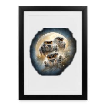 Jumping Spiders Winter Night Kawaii Chibi Wolfmond - Framed poster (27 × 37 cm) - black - Front
