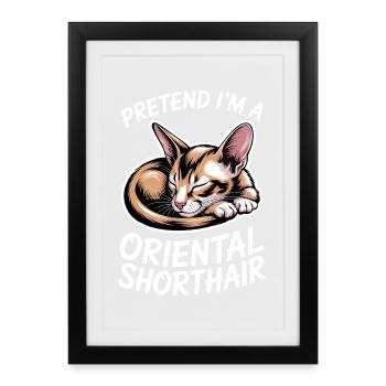 Oriental Shorthair Gift Cats Sayings - Framed poster (27 × 37 cm) - black - Front