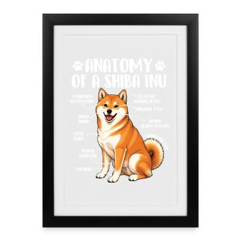 Anatomy Of A Shiba Inu Doge Humor - Framed poster (27 × 37 cm) - black - Front