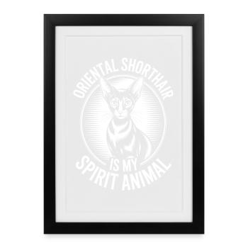 Oriental Shorthair Gift Cats Sayings - Framed poster (27 × 37 cm) - black - Front