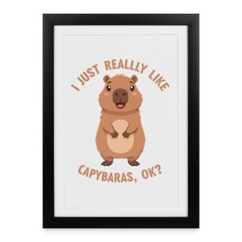 Capybara Love Ok - Framed poster (27 × 37 cm) - black - Front