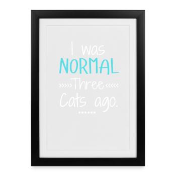 I Was Normal 3 Cats Ago Funny Cat Lover - Framed poster (27 × 37 cm) - black - Front