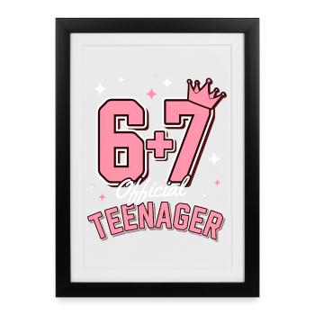 13th Birthday Shirt Funny Meme 67th Birthday 13 - Affiche encadrée (27 × 37 cm) - noir - Devant