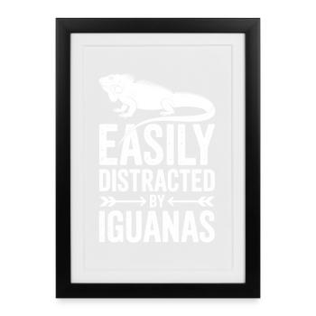 Dictons des iguanes, drôles d’iguanes, cadeau des iguanes. - Affiche encadrée (27 × 37 cm) - noir - Devant