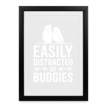 Budgie Sayings Joke Budgie Gift - Framed poster (27 × 37 cm) - black - Front