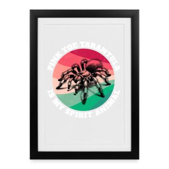 Pinktoe Rosafuss Tarantula Sayings - Framed poster (27 × 37 cm) - black - Front