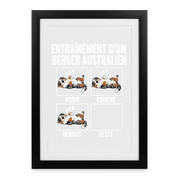 Chien Entraînement Berger Australien - Affiche encadrée (27 × 37 cm) - noir - Devant