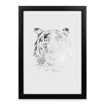 Portrait du tigre noir et blanc - Affiche encadrée (27 × 37 cm) - noir - Devant