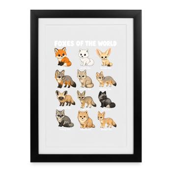 Foxes of the World Wildlife Diagram Red Arctic Fox - Framed poster (27 × 37 cm) - black - Front