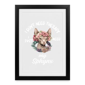 Thérapie par chat Sphynx - Affiche encadrée (27 × 37 cm) - noir - Devant
