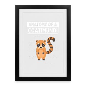 Anatomie d’un coati - Affiche encadrée (27 × 37 cm) - noir - Devant