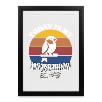 Reisamadine Java Sparrow - Framed poster (27 × 37 cm) - black - Front