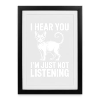 Sphynx Cat Dicts, drôle de cadeau Sphynx Cat - Affiche encadrée (27 × 37 cm) - noir - Devant