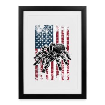 Chile Vogelspinne US - Gerahmtes Poster (27 × 37 cm) - Schwarz - Vorne