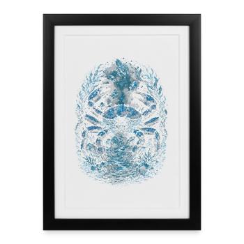 Alaska Königskrabben - Gerahmtes Poster (27 × 37 cm) - Schwarz - Vorne