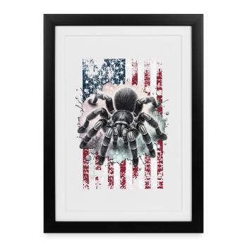 Schwarze Vogelspinne US - Gerahmtes Poster (27 × 37 cm) - Schwarz - Vorne