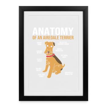 Airedale Terrier - Gerahmtes Poster (27 × 37 cm) - Schwarz - Vorne