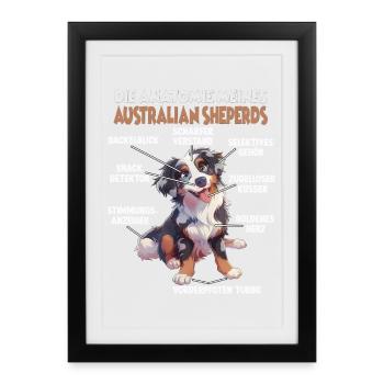  Australian Shepherd Hundehalter T Aussie Anatomie - Gerahmtes Poster (27 × 37 cm) - Schwarz - Vorne