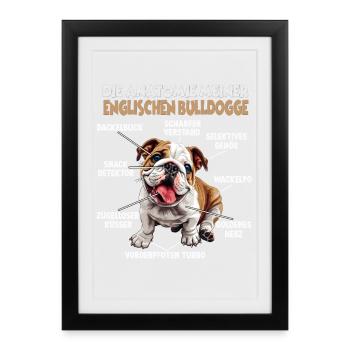 Englische Bulldogge Hundespruch Hund Hundehalter - Gerahmtes Poster (27 × 37 cm) - Schwarz - Vorne