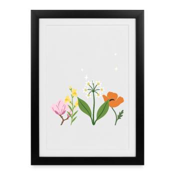 Magnolie Blumen Mohn Leinkraut - Gerahmtes Poster (27 × 37 cm) - Schwarz - Vorne