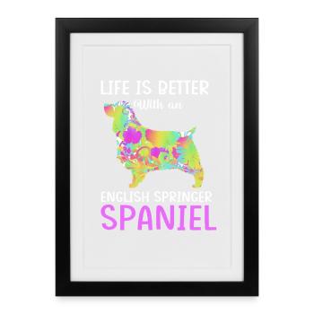 Springer Spaniel - Gerahmtes Poster (27 × 37 cm) - Schwarz - Vorne