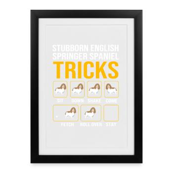 Springer Spaniel - Gerahmtes Poster (27 × 37 cm) - Schwarz - Vorne