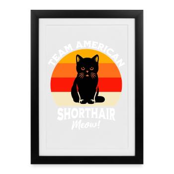 Team Amerikanische Kurzhaarkatze - Gerahmtes Poster (27 × 37 cm) - Schwarz - Vorne