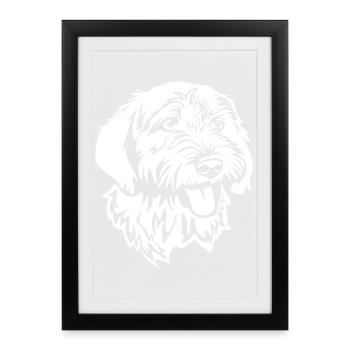 Tête Basset Fauve de Bretagne "Black Edition" - Affiche encadrée (27 × 37 cm) - noir - Devant