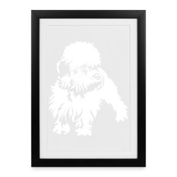 Dandie Dinmont Terrier "Black Edition" - Affiche encadrée (27 × 37 cm) - noir - Devant