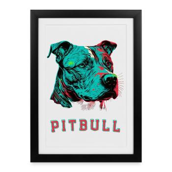 Pitbull - Framed poster (27 × 37 cm) - black - Front