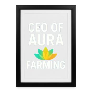 PDG d’aura farming Dicton drôle - Affiche encadrée (27 × 37 cm) - noir - Devant