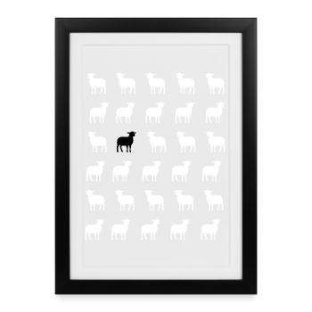 Moutons blancs et noir  - Affiche encadrée (27 × 37 cm) - noir - Devant