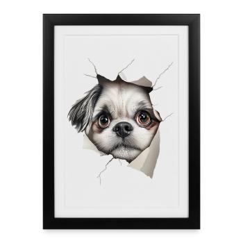Shih Tzu - Affiche encadrée (27 × 37 cm) - noir - Devant