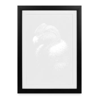 condor - Framed poster (27 × 37 cm) - black - Front