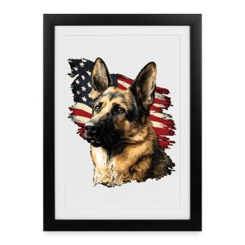 Schäferhund USA - Gerahmtes Poster (27 × 37 cm) - Schwarz - Vorne